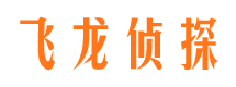 万秀市私家侦探